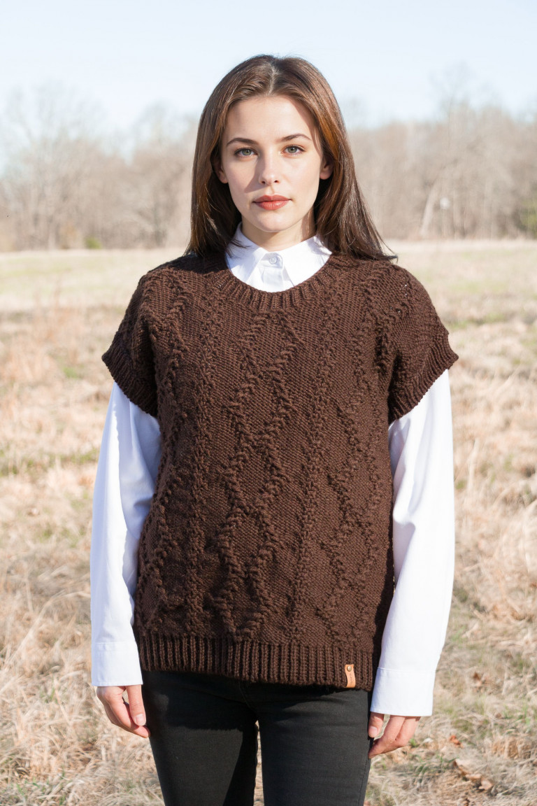 Round Neck Knit Vest - Brown